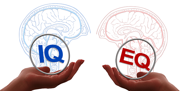 iq eq zaka test